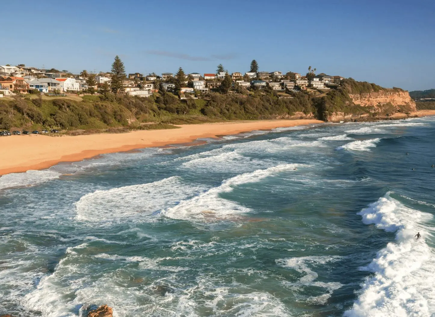 Screenshot 2025-05-06 at 9.43.02 AM View from the southern headland looking north along Warriewood Beach, showcasing golden sand and surf.